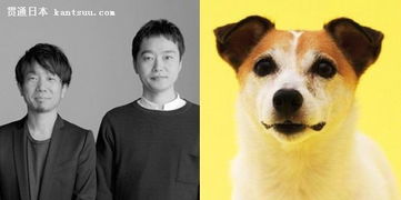 汪星人的住房需求，你懂嗎？電影攝制服務的視角